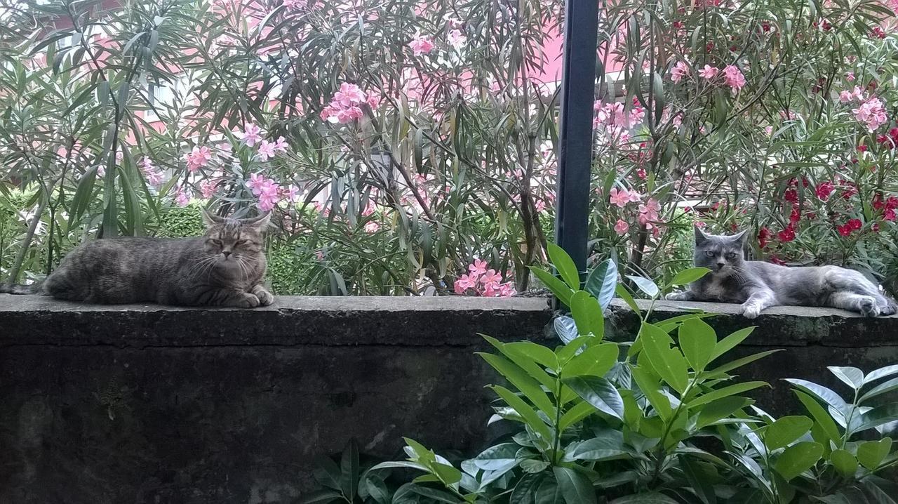Albergo Sangalli Boario Terme Exterior foto